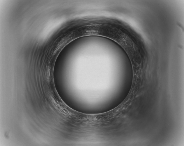 X0000103260194200808291225