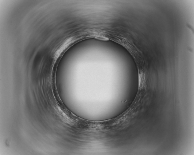 X0000103260195200808291225