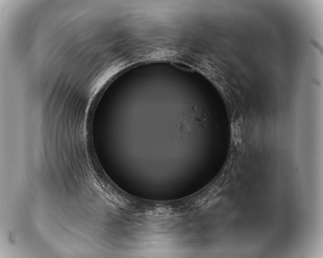 X0000103260196200808291225