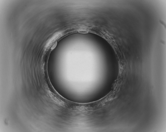 X0000103260197200808291225