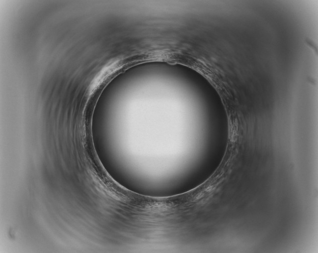 X0000103260198200808291225