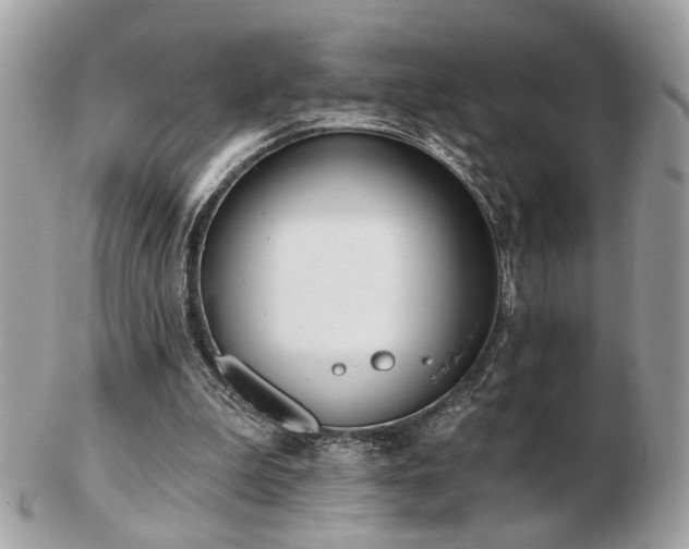 X0000103260199200808291225