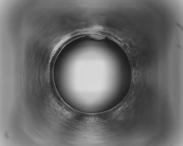 X0000103260200200808291225