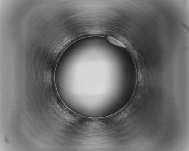 X0000103260201200808291225