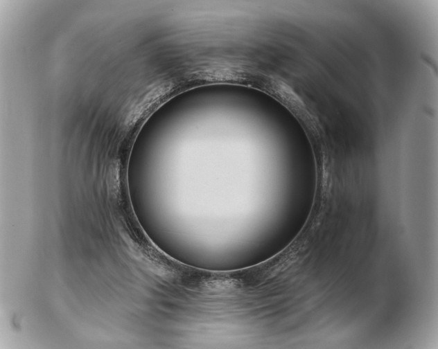 X0000103260202200808291225