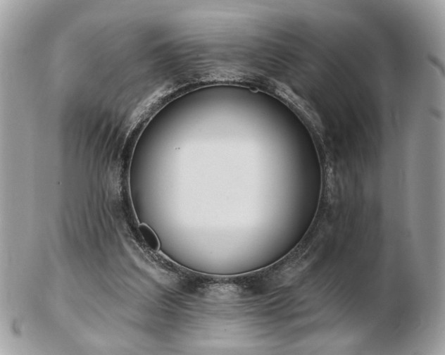 X0000103260203200808291225