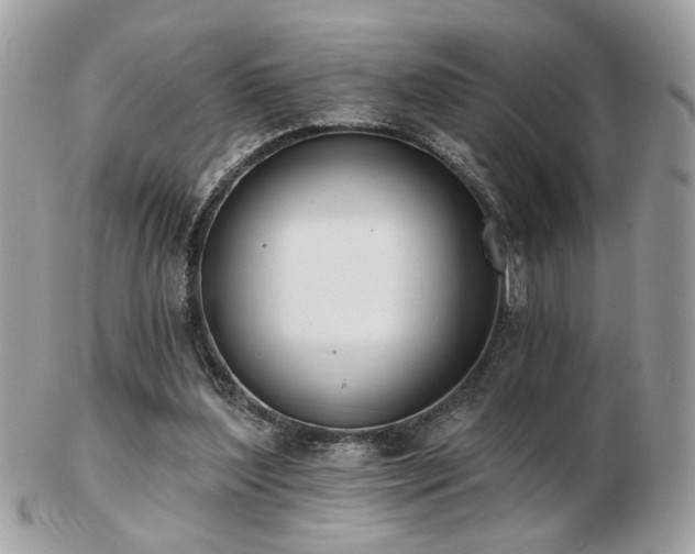 X0000103260204200808291225