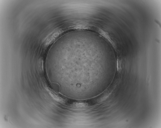 X0000103260205200808291225