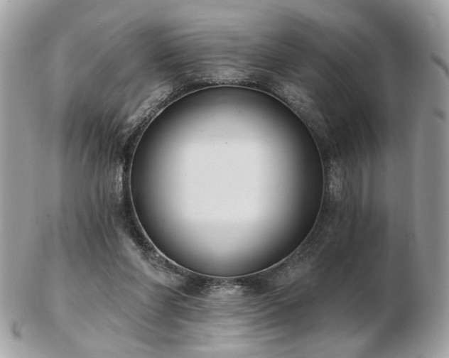 X0000103260206200808291225