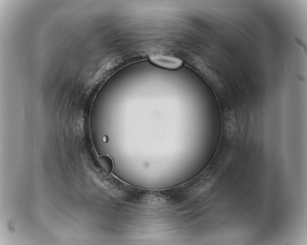 X0000103260207200808291225