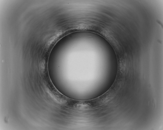 X0000103260208200808291225