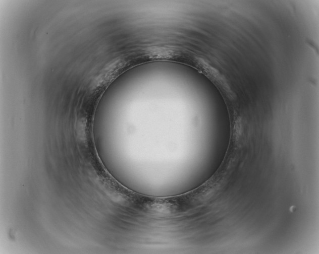 X0000103260209200808291225