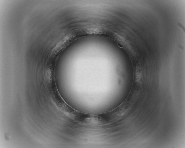 X0000103260211200808291225