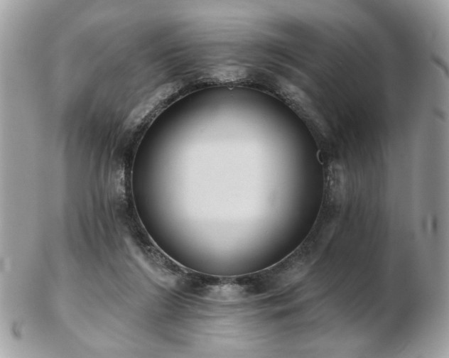 X0000103260212200808291225