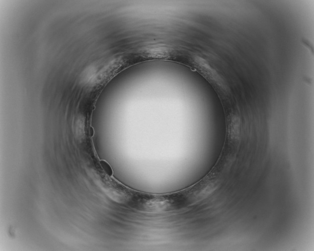 X0000103260213200808291225