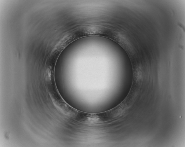 X0000103260214200808291225