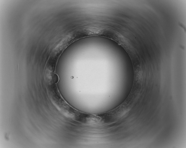 X0000103260215200808291225