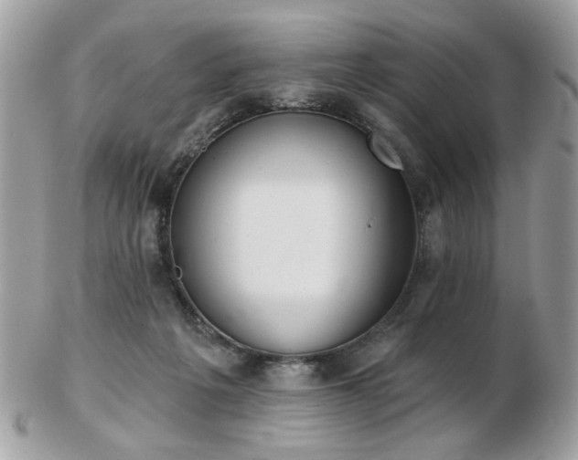 X0000103260217200808291225