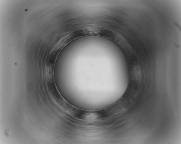 X0000103260218200808291225