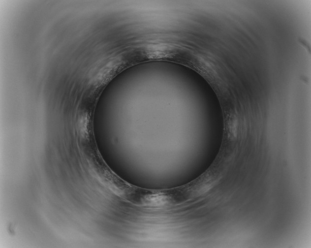 X0000103260219200808291225