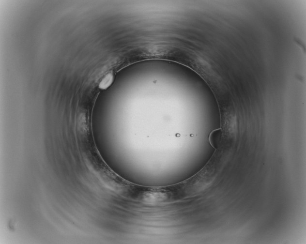 X0000103260220200808291225