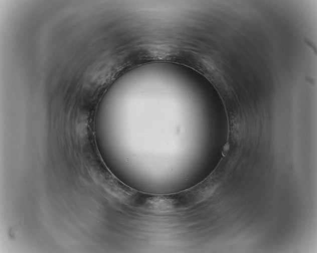 X0000103260221200808291225