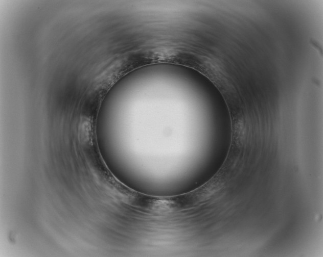 X0000103260222200808291225