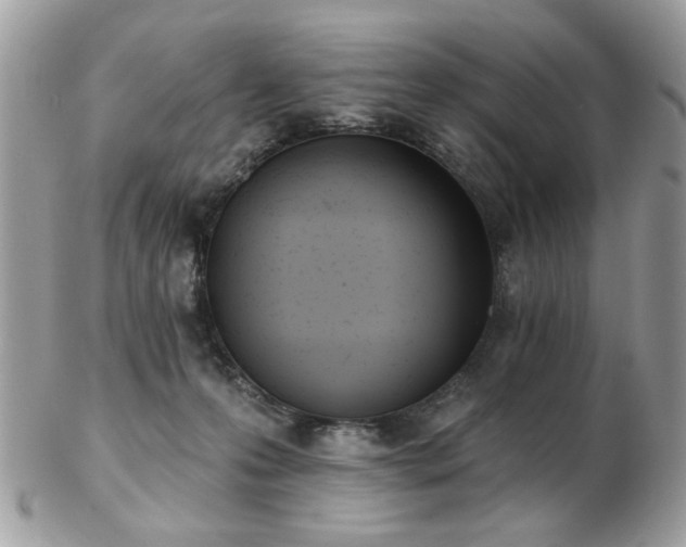 X0000103260223200808291225