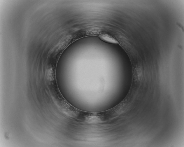 X0000103260224200808291225