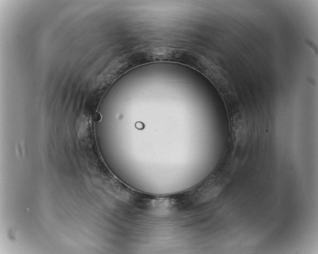 X0000103260225200808291225