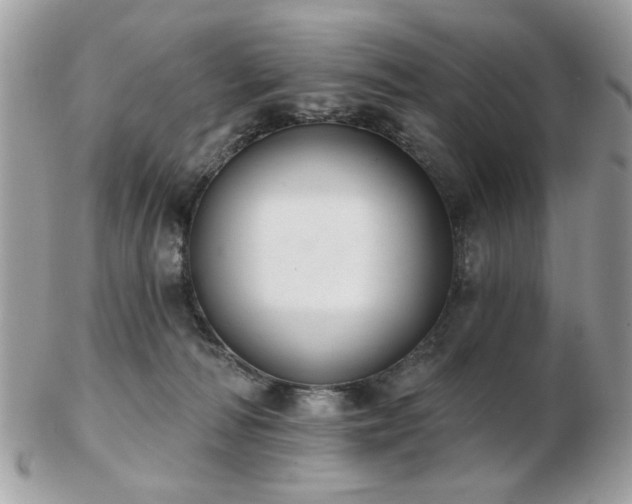 X0000103260226200808291225