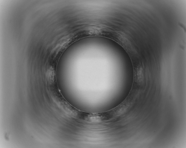 X0000103260228200808291225