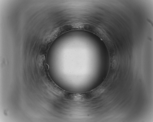 X0000103260229200808291225