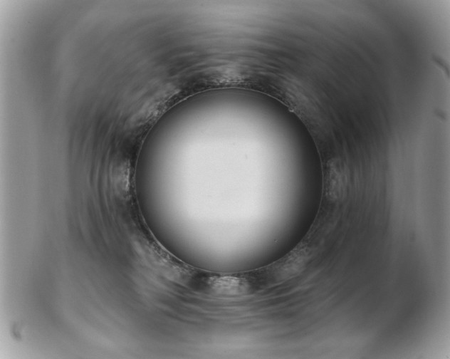 X0000103260230200808291225