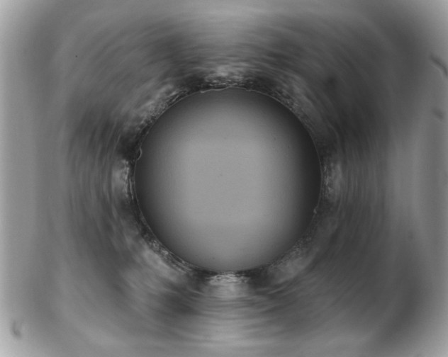 X0000103260231200808291225