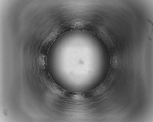 X0000103260232200808291225