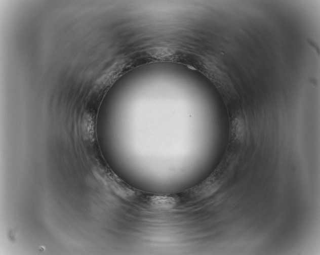 X0000103260234200808291225