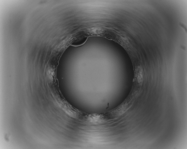 X0000103260235200808291225