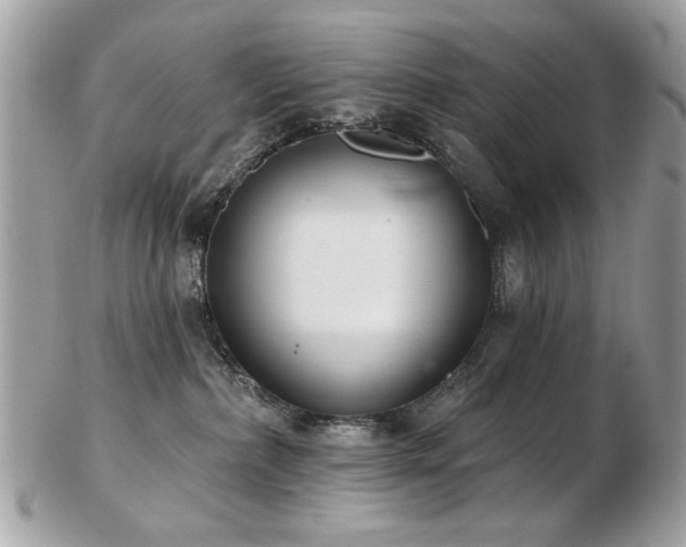 X0000103260236200808291225