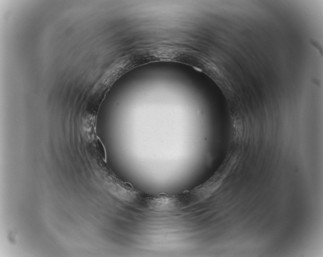 X0000103260237200808291225