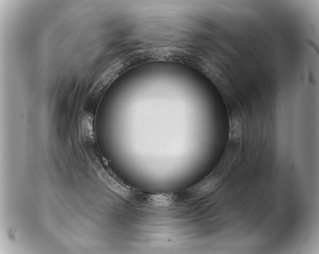 X0000103260238200808291225