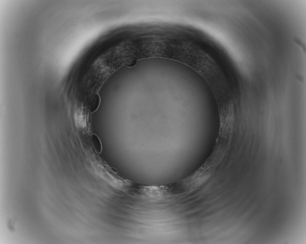 X0000103260239200808291225