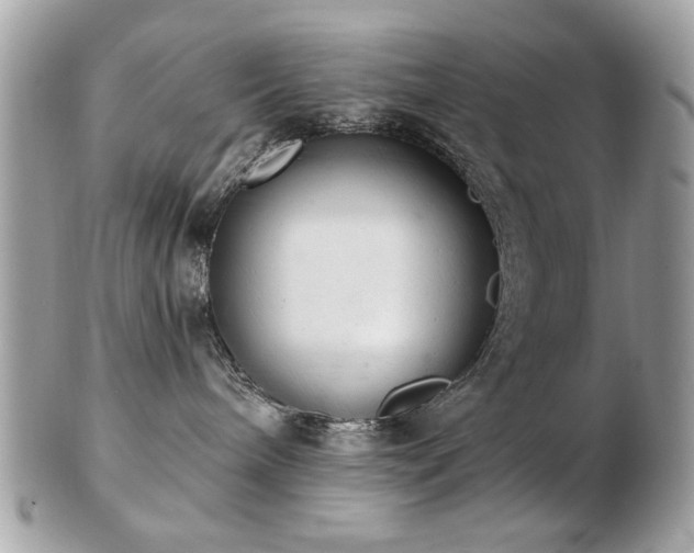 X0000103260240200808291225