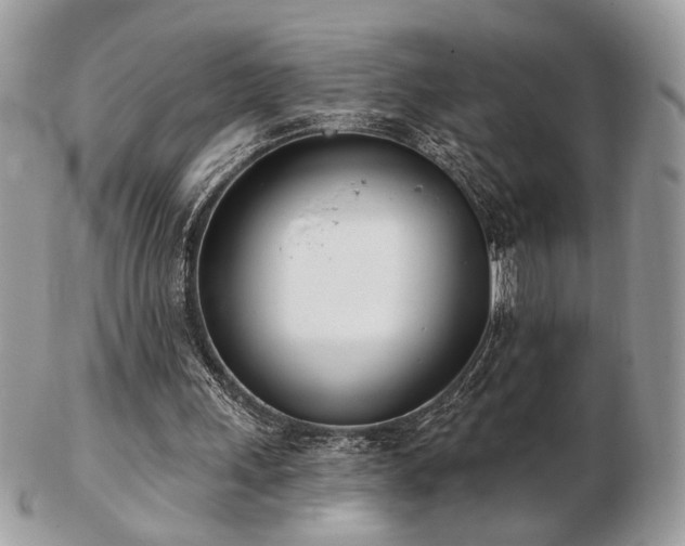 X0000103260243200808291224