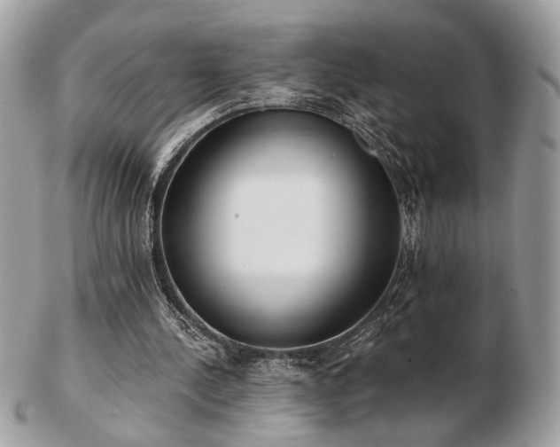 X0000103260244200808291224