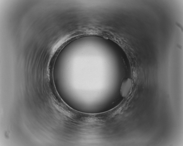 X0000103260246200808291224