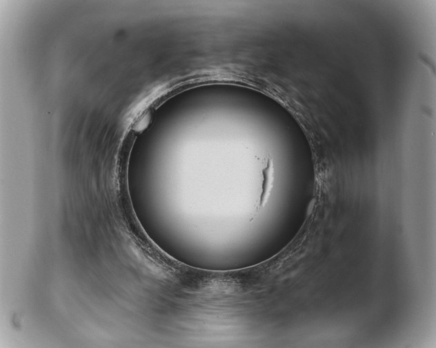 X0000103260248200808291224