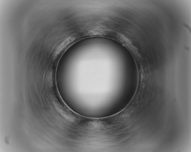 X0000103260250200808291224