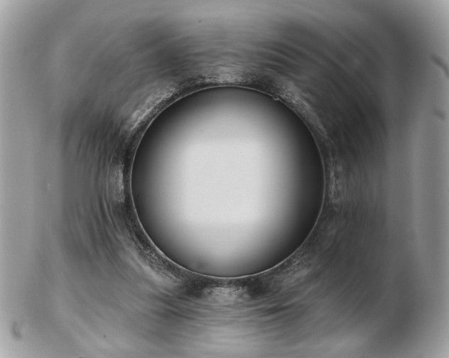 X0000103260251200808291224