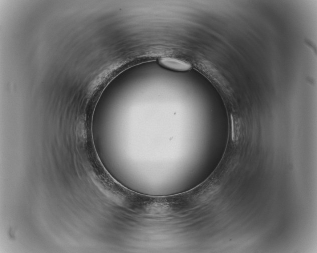 X0000103260252200808291224